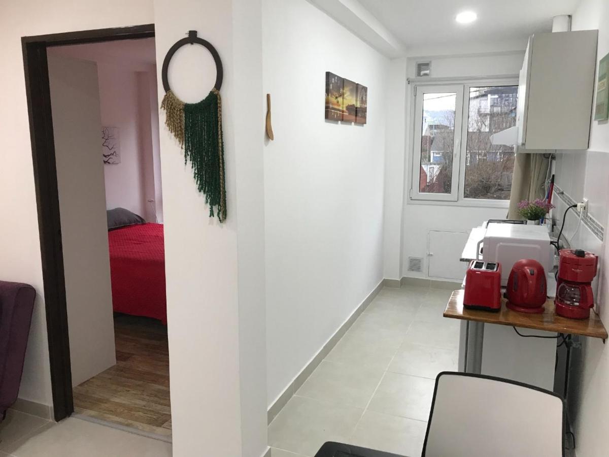 Lo De Moli 1C Διαμέρισμα Ουσουάια Εξωτερικό φωτογραφία